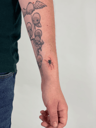 Black Widow Spider