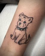 Look at this little cutie 🐶✨🐾 February spots are open! ⚡️ Available dates: 4, 6, 8, 11, 12, 13, 14, 15, 20, 21, 22, 24 (from 11:00). DM my booking account @an_anast.booking to grab a spot!