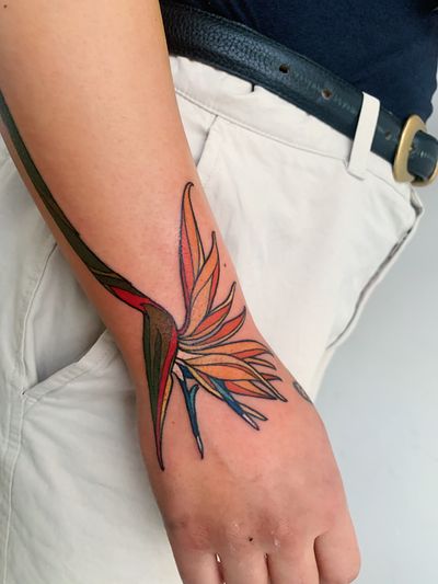 Bird of paradise 