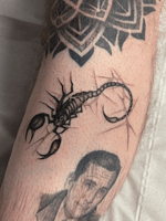 Stylized Etched Scorpion