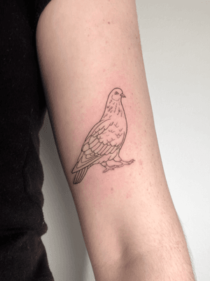 Fineline Linework Pigeon