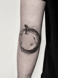 Coiled Ouroboros
