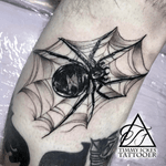 Black Widow Spider and Web