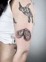 Oyster Tattoo