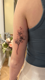 Delicate Orchid Spray