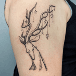 Stag with celestial adornments