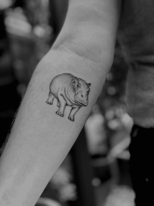 Hippo