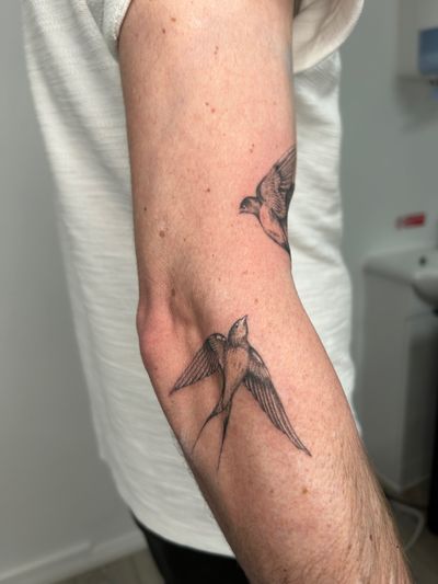 Capture the beauty of flight with this intricately detailed black and gray swallow tattoo by acclaimed artist Ellie Shearer.