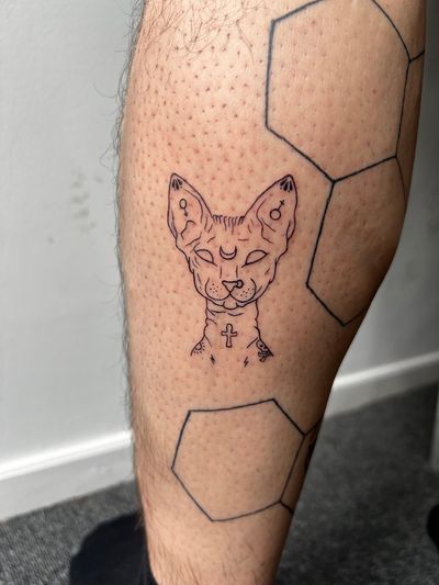 Fine line tattoo of a sphinx cat, with minimal and illustrative style by Inna.