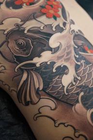 Koi Fish Tattoo