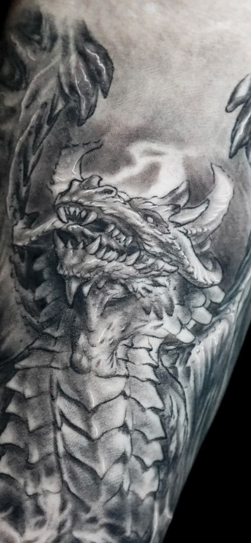 Dragon Head Close-up