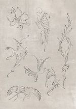 Nature's Delicate Dance