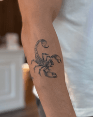 Scorpion