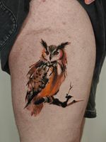 Watercolor Owl Tattoo