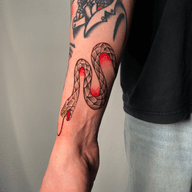 Stylized Snake