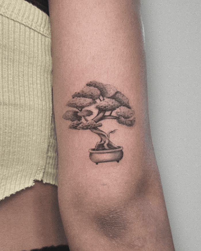 Bonsai Tree  Tattoodo