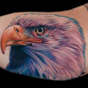 #cecilporter #eagle #america #bird #realistic