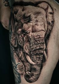 Hey friends ,first session of this elephant to Ame Bevard ,we focus in all the textures in this one,I hope you feel this like me,trying my best in every shade
