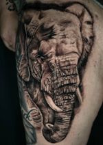 Hey friends ,first session of this elephant to Ame Bevard ,we focus in all the textures in this one,I hope you feel this like me,trying my best in every shade
