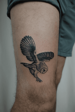 Finelined, black and grey, elegant owl tattoo on leg