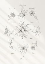 Fine Line Butterfly and Floral Small Tattoo Set