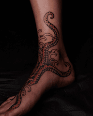 Octopus Tentacles