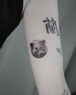 Small boy 🐹 . . . . . #tattoo #tattoos #tattooed #tattooartist #tattooart #tattooedgirls #tattoolife #tattoist #instaart #instatattoo #bodyart #tat #tats #tatts #ink #inked #inkedup #inkedgirls #inklife #inkstagram #inkaddict #inkwell #inkedlife #tatooideas #Hamburg #hamburgtattoo #microrealism #finelinetattoo #hamster