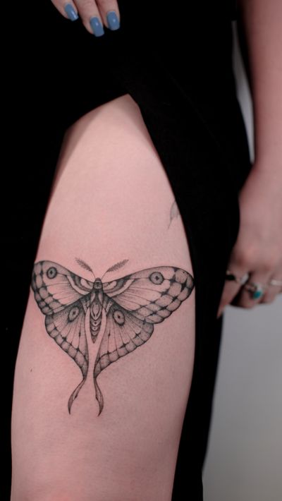 Experience the delicate beauty of a black and gray moth tattoo, expertly done in fine line style by talented artist Maria.