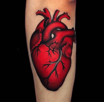 High contrast super red anatomical heart 