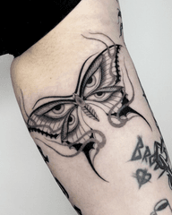Four Eyed Butterfly