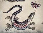 Lizard and Butterfly Flash