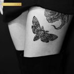 Traditional Korean moth for JK Kim ❤️ by Evan Kim #west4tattoo #minimalistic #nyc #illustration #smalltattoo #minimalism #upanddownnyc #tinytattoo #microtattoo