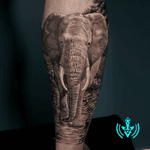 Elephant Tattoo