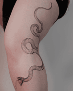 Coiled Snake Tattoo