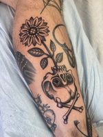 Sunflower Emerging from Skull