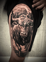 Realism black and grey bull
