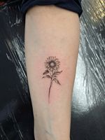 Minimalist Sunflower