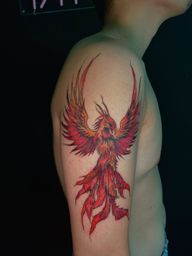 Before and after . . . #freehandtattoo #fypage #skyabstract #painting #followforfollowback #foryou #tattooartist #tattooist #tattoo #dc #linetattoos #finelinetattoo #homeoffice #minimalstyle #minimalisttattoo #kesfet #typpppppppppppppppppppppppppppppppppppp pppppppppppppppppppppppppppp ppppppppppppppppppppppppppppp ! #tattooist #dmvtattooartist #dctattooartist #vatattooartist #womentattooartists #finelinetattoo #jellyfistattoo #womentattooartists #virginiatattooshop #dctattooshop #marlandtattooartist #coveruptattoo