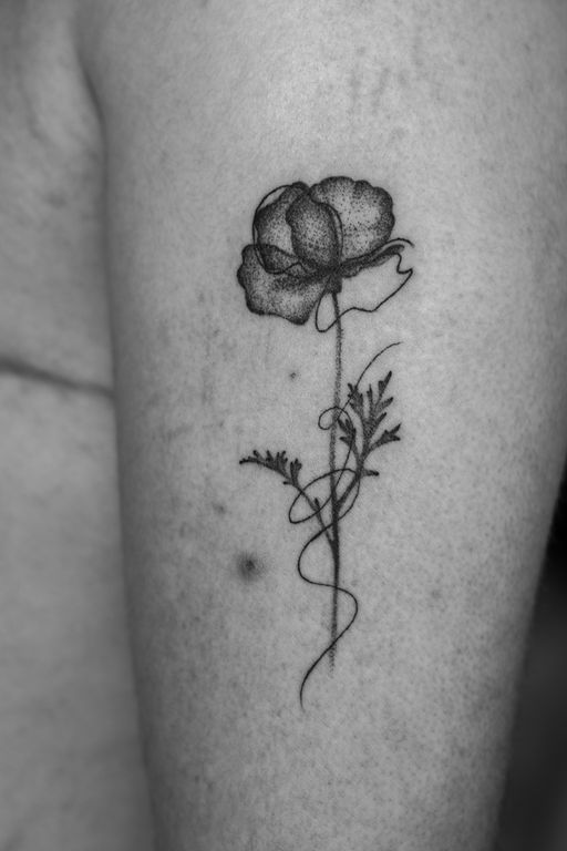 THE HERBARIUM - TATTOO & MAGIC