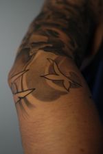 Black and Grey Birds in Flight