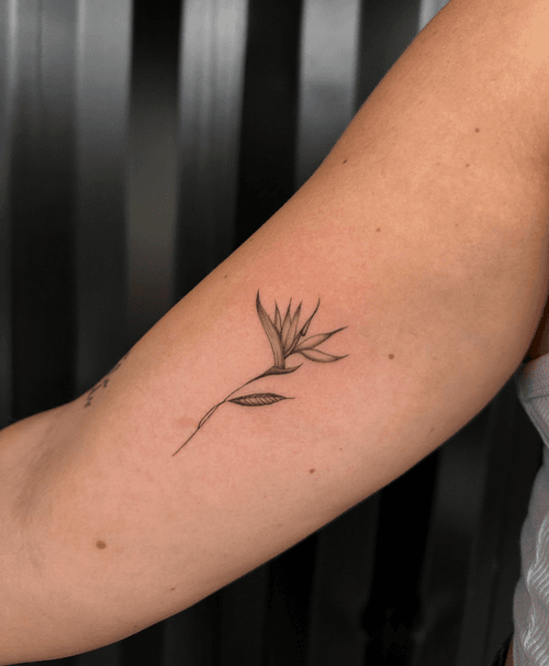 Delicate Bird of Paradise Flower Tattoo