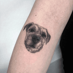 Dog Portrait Tattoo