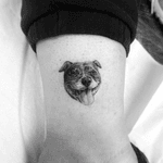 Dog Portrait