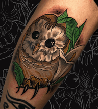 Owl