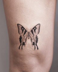 Distorted Butterfly