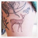 Deer Tattoo