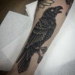Little trad today for mason - - - - - #trad#traditional#tradtattoo#tradtattoos#oldschool#traditionaltattoo#traditionaltattooers#crow#crowrtattoo#crowtattoos#blackwork#blacktattoo#blacktattoos#darktattoo#darktattoos#bird#birdtattoo#tradtattooers#traditionaltattooers