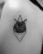 Cat with Geometric Frame