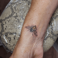 Detailed Bee