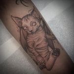 Meowww old flash from years back finally tattooed on amber - - - - #cat#cattoo#cattattoo#cattattoos#kitty#kittytattoo#catart#blackwork#blackworktattoo#blackworktattooist#darktattoo#gothic#gothictattoo#gothictattoos#gothiccat#gothiccattattoo#batwings#batwingstattoo#evilcay#evilcatattoo